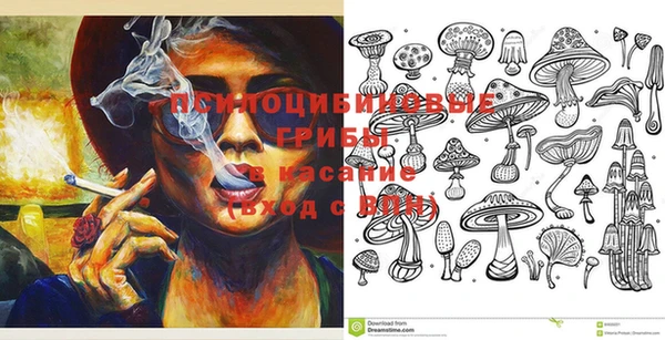 Альфа ПВП Гусиноозёрск