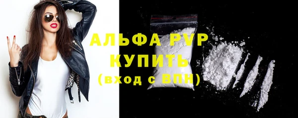 гашик Гусев