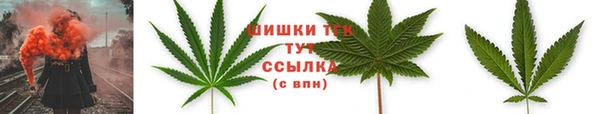 a pvp Горняк