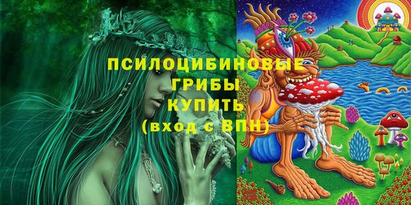 мяу мяу мука Горнозаводск