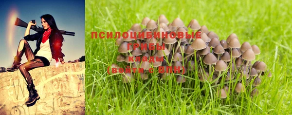 Альфа ПВП Гусиноозёрск