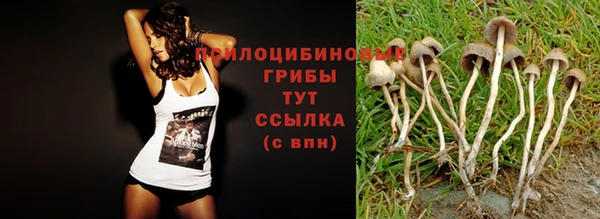 герыч Гусь-Хрустальный